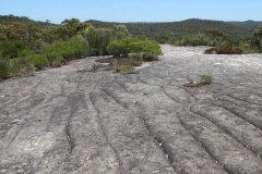 Aboriginal rock carvings on the Elvina Bay fire trail, Ku-ring-gai Chase National Park